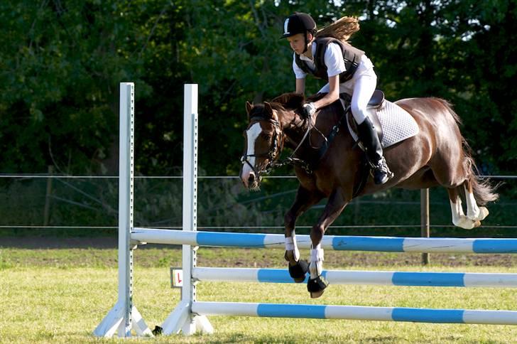 Anden særlig race Tilde - Tilds på vej rundt på Banen i LC tror jeg (; <3 billede 5