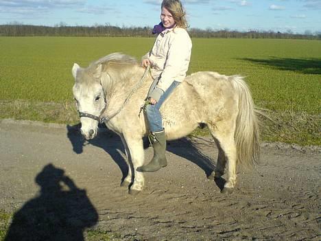 Shetlænder ~Mozart~ <3 - =) billede 17