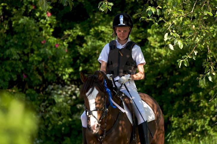 Anden særlig race Tilde - Tilde <3 efter stævne billede 10