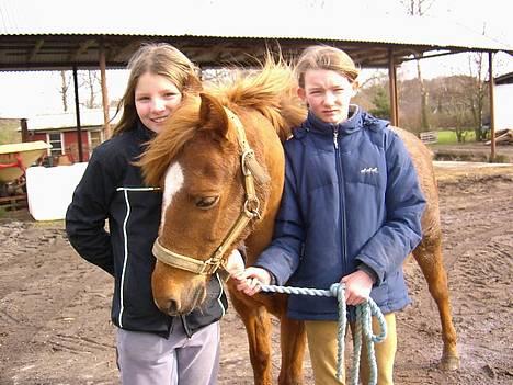 Anden særlig race Coco  - Uuuh Jennifer jeg tror du har en godtbid :D billede 5