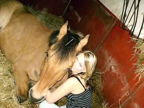 Anden særlig race lukas - mig & lukas <3 billede 14