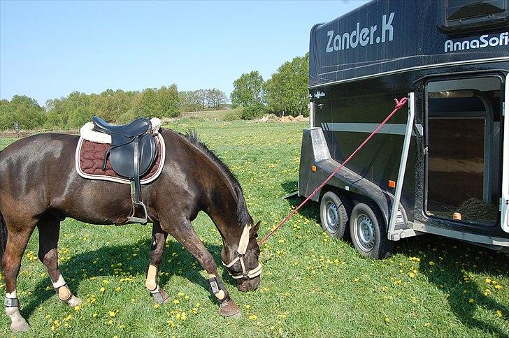 New Forest Zander Kjærgaard - SOLGT! - Livet er så kort, så hurtigt den enlige timer flyve,  Vi burde være sammen, du og jeg  billede 5