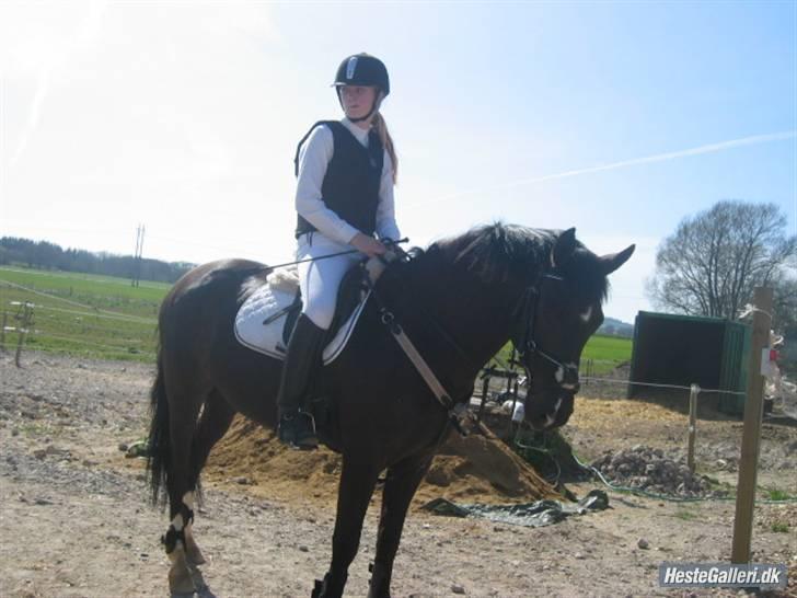 New Forest Zander Kjærgaard - SOLGT! - Du forlod, og mit hjerte er en uophørlig prædiken af &#8203;&#8203;ensomhed.  billede 7