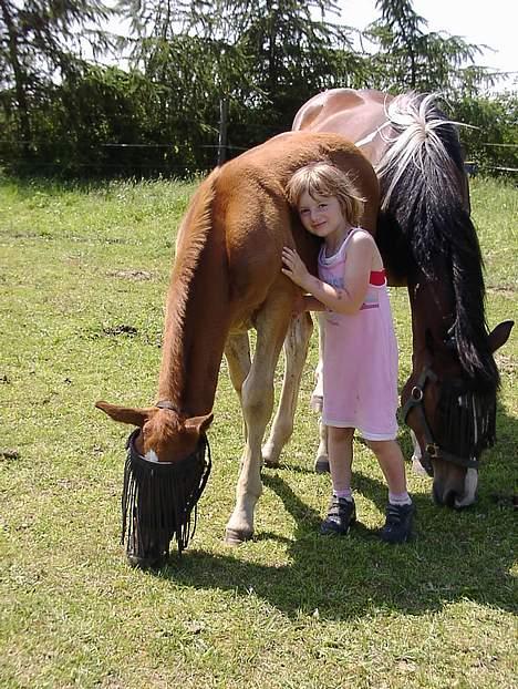 Anden særlig race Karim billede 2