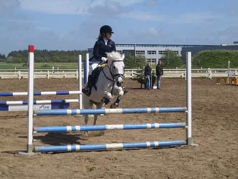 Anden særlig race Silver Boy -HVIL I FRED!  - wee over en lb bane på jmr . -foto min far  billede 3