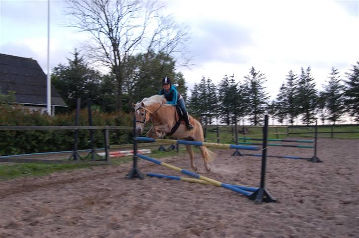 Tyroler Haflinger Kiwi  Elghuset  - 25.07.09 - Jasmin rider Kiwi billede 8