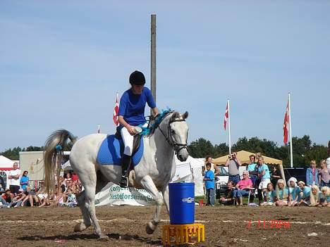 Anden særlig race Cisco - Mit yndlingsbillede. Odense 2005 billede 2