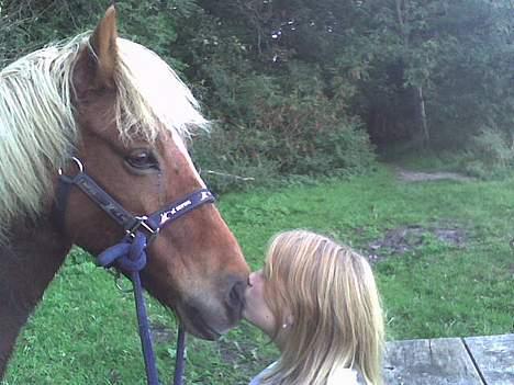 Islænder Tritla - For Fanden Du Er God Til At Kysse Tritla <3 RaaUuW  billede 11