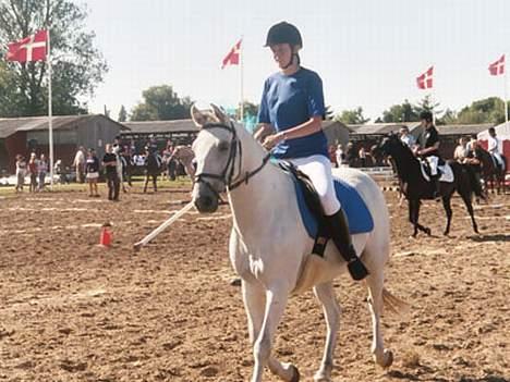 Anden særlig race Cisco - Odense 2005:b billede 4