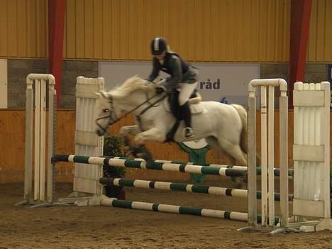 Anden særlig race Patrissia <3 :D   - Juuubii .. her springer Min søster Rikke<33 i HIS & fik en 1 plas Elsker dem begge to <33 billede 12