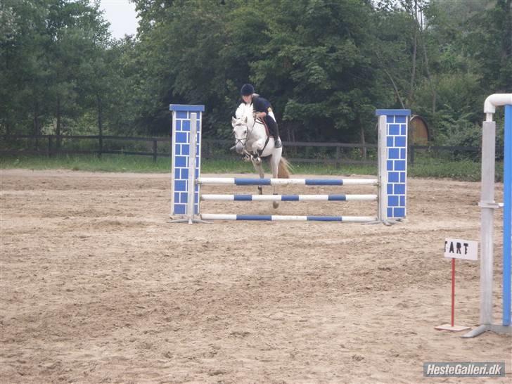 Anden særlig race Patrissia <3 :D   - HAH dumme hest ! jeg elsker dig "TYKKE TRISSE" billede 13