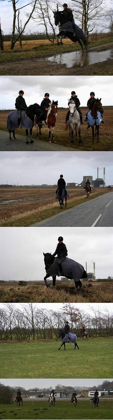 Hollandsk Sportspony Moonlight *SOLGT :´(* - 18/3-07 ... skovtur med Rikke, Josephine, Simone og mig ... fotograf: Janni <33 billede 9