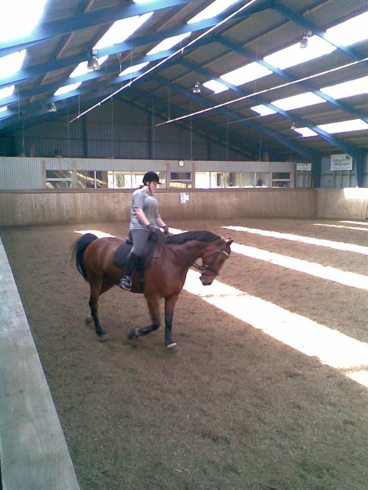 Oldenborg Dufaux - Tidl hest - nyt 8 maj 09 :P undervisning  hos sanne :) billede 6