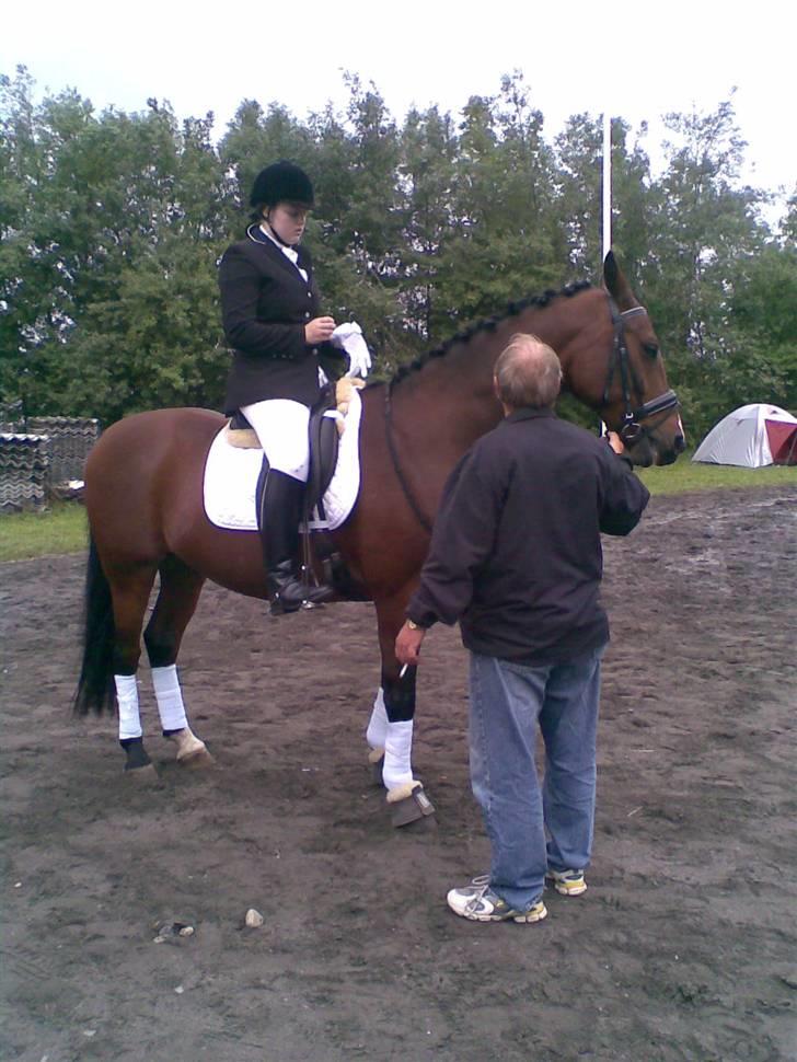 Oldenborg Dufaux - Tidl hest - stævne i bsr billede 11