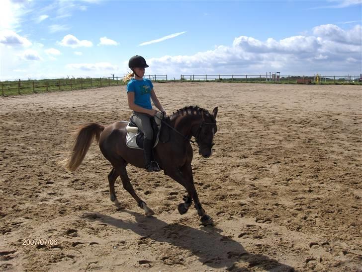 Hollandsk Sportspony Hotse  - Hans fine galop... xD billede 9