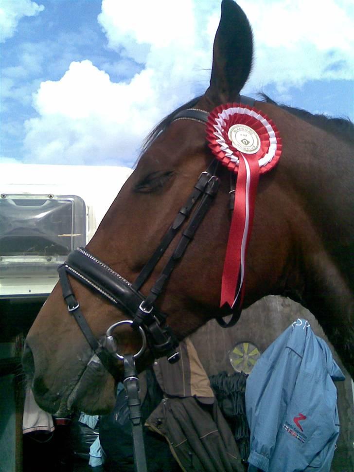 Oldenborg Dufaux - Tidl hest - 1 plads i Lc1 i Blåbjerg 7 september 08 billede 16