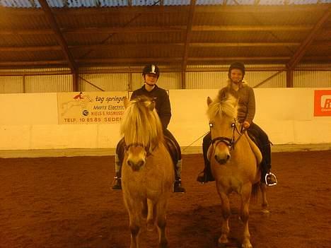 Fjordhest Django. Dejlig fjordhest. - Mig med den brune trøje på django. Og michella med den sorte trøje på prins. Prins er bare så sjov at ride på. han er en rodeo-hest. Ligsom Django. billede 15