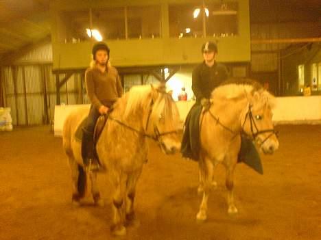 Fjordhest Django. Dejlig fjordhest. - Miiq med den brune trøje på Prins. Og Michella med den sorte trøje på Django. Er vi ekh bare dejlige da? billede 17