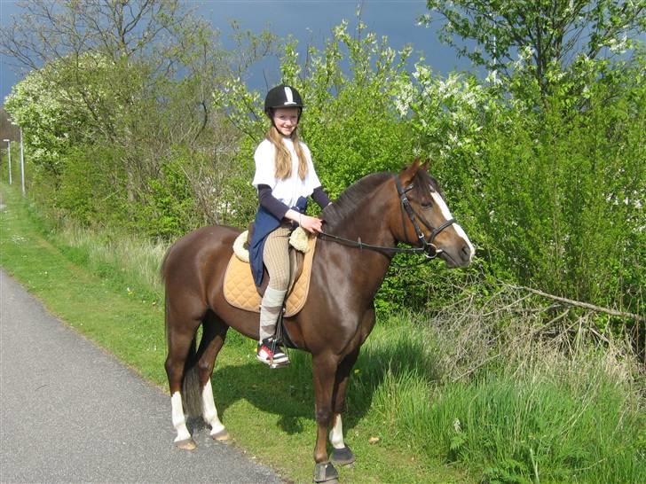 Anden særlig race Tilde - Tilds i skoven med Josefine og Janni  billede 12