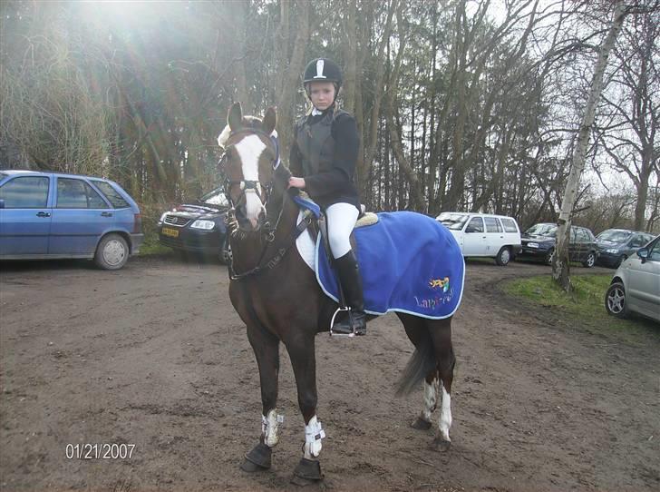 Anden særlig race Tilde - <3 du er smuk<3 2. plads på paarupholm billede 13