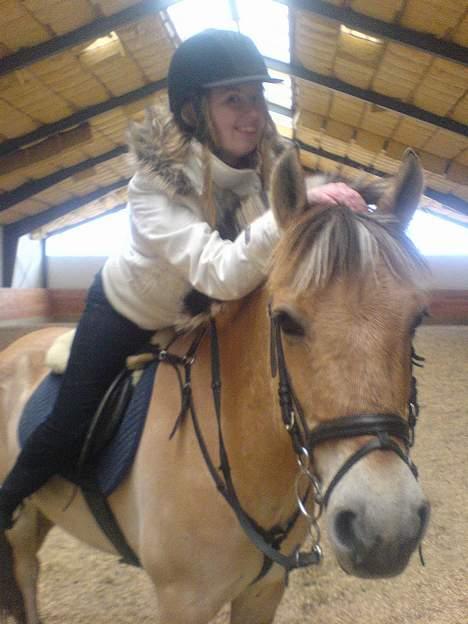 Fjordhest NapoleonSOOLGT - <3 billede 9