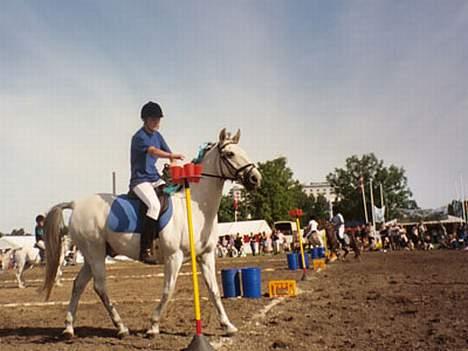 Anden særlig race Cisco - Odense 2005 billede 5