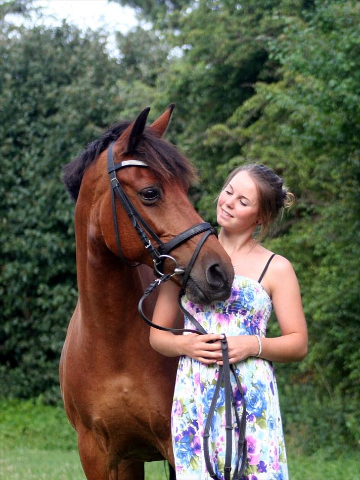 Anden særlig race Nuggi - #1 Juli 2010 billede 1