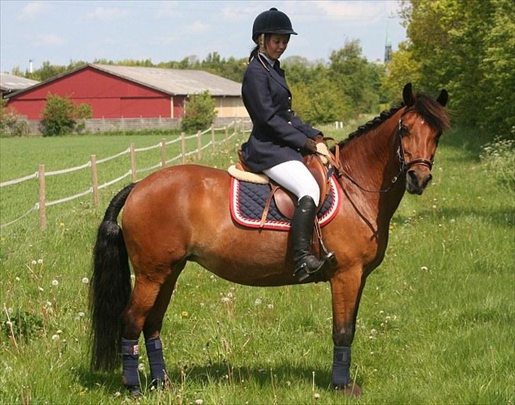 Anden særlig race Nuggi - #2 Maj 2010 billede 2