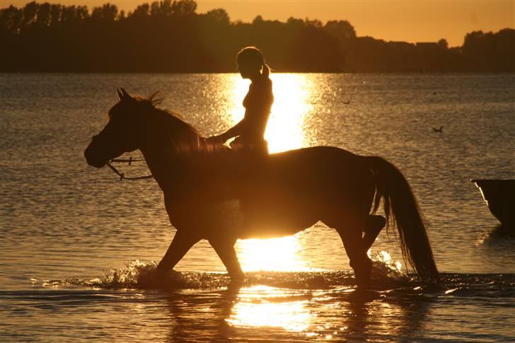 Anden særlig race Nuggi - #6 Juli 2008 billede 6