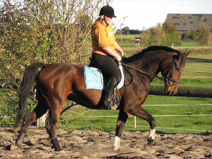 Anden særlig race Serrano billede 5