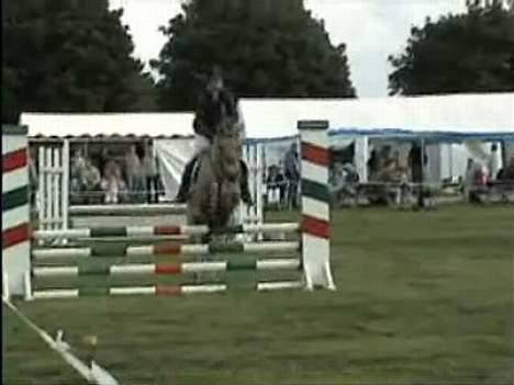 Fjordhest NapoleonSOOLGT - Napoleon til stævne 2006 med sin ejer  billede 13