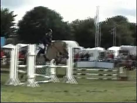 Fjordhest NapoleonSOOLGT - springstævne med sin ejer . billede 16