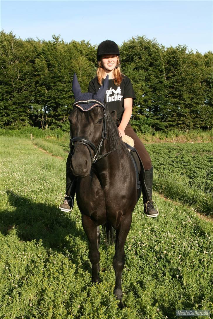 Anden særlig race Charly *solgt* billede 2