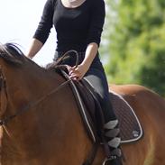 Anden særlig race My soulmate - Wariant <3
