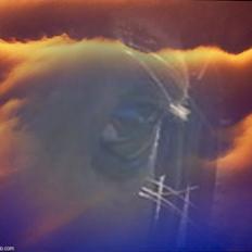 Hollandsk Sportspony Essy - pensionist