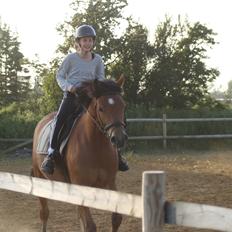 Knabstrupper Nørrebøgegaardens Macon SOLGT