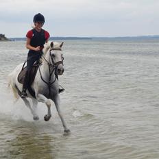 Anden særlig race Maicha