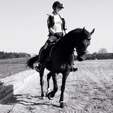 DSP Villagårdens Momo