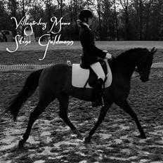 DSP Villagårdens Momo