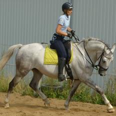 Anden særlig race Zera