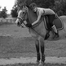 Anden særlig race My soulmate - Wariant <3