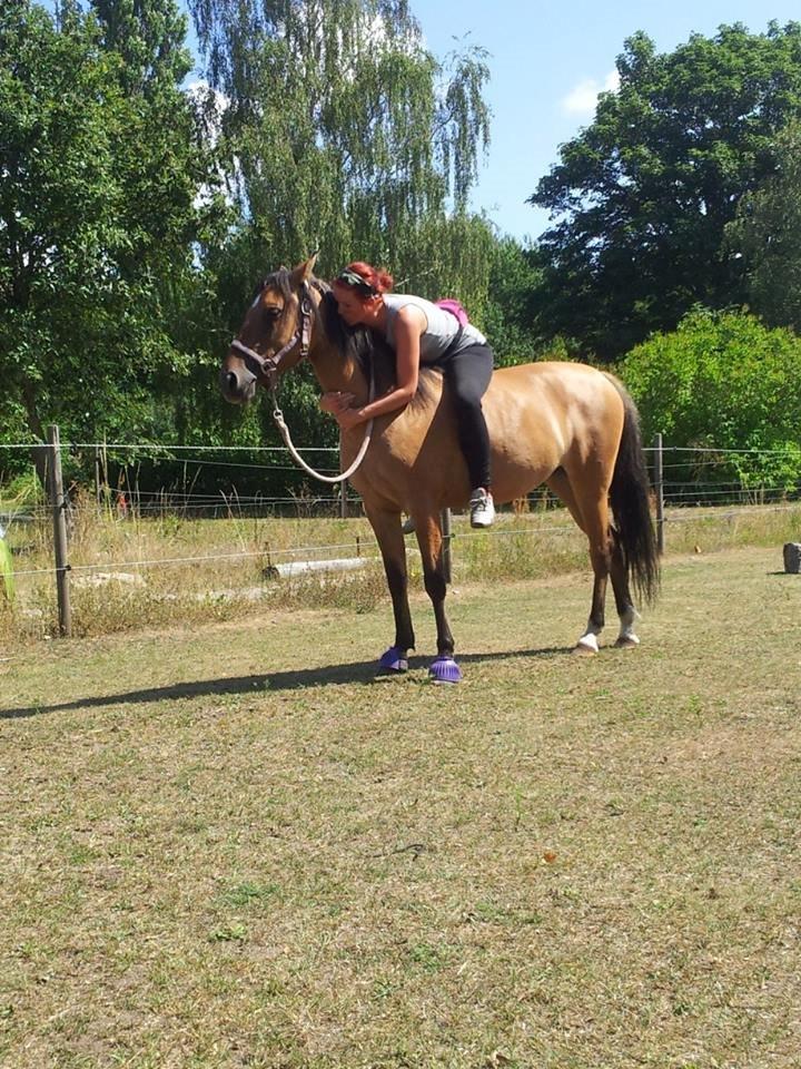 Anden særlig race Unica star billede 1