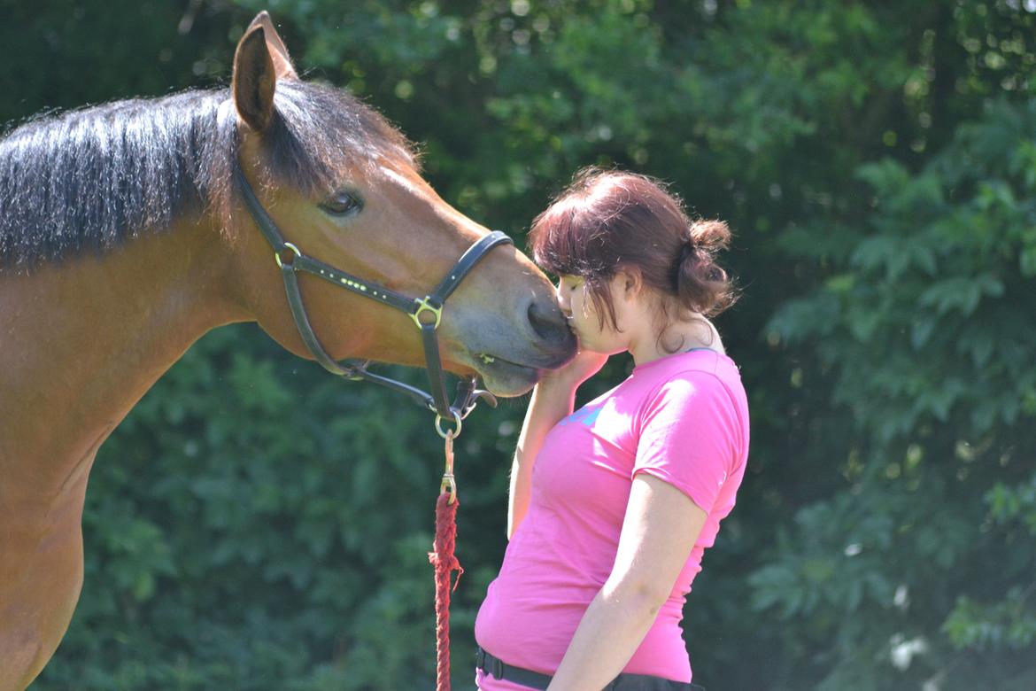 Knabstrupper Nørrebøgegaardens Macon SOLGT billede 1