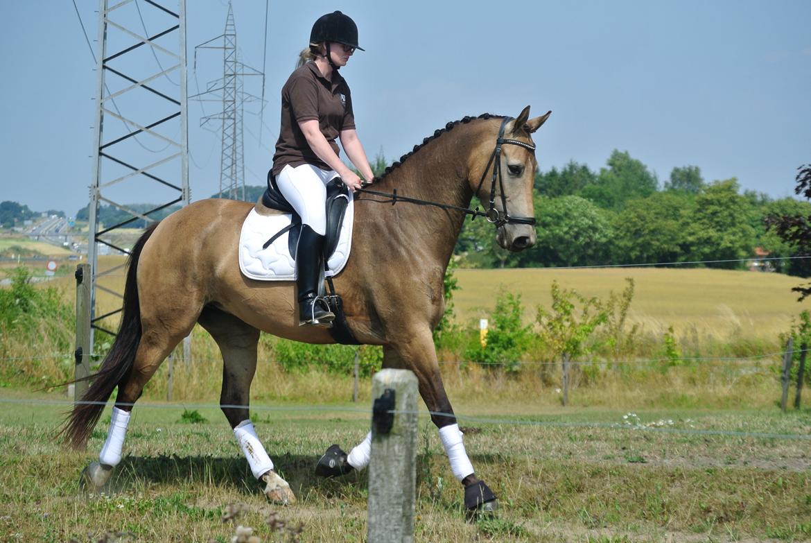 Anden særlig race Asbo´s Fiona billede 14