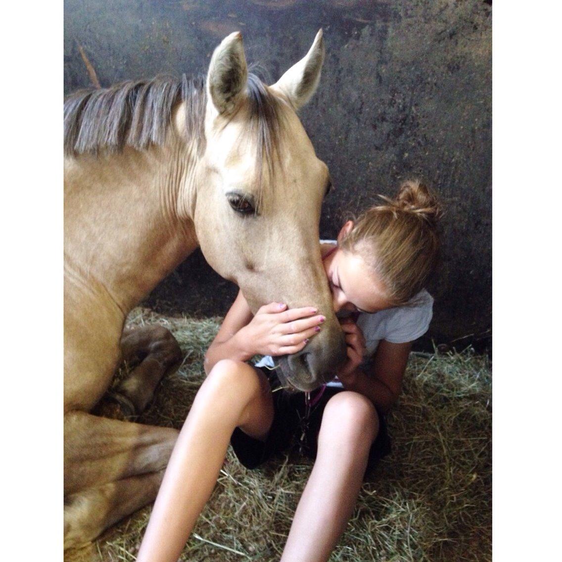 New Forest Balasjow billede 18