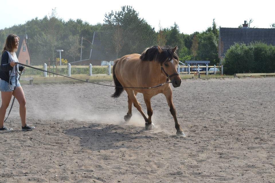 Anden særlig race Cosmos billede 2