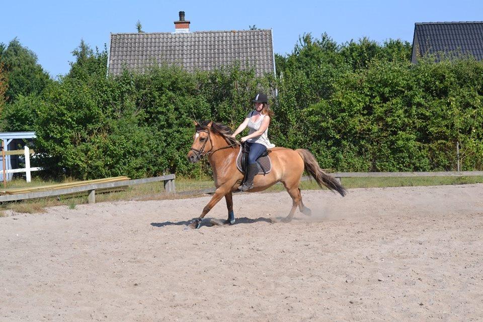 Anden særlig race Cosmos billede 9