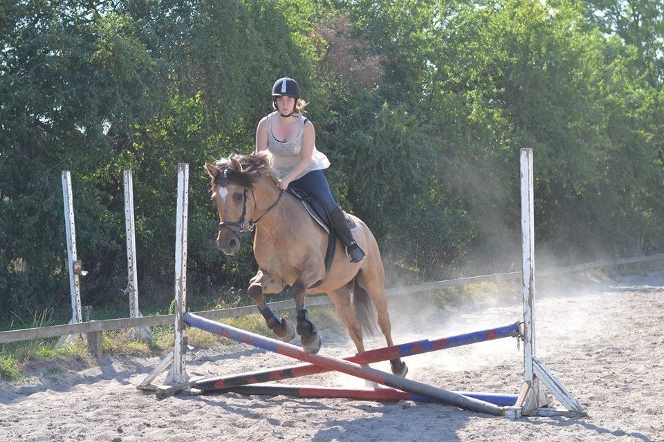 Anden særlig race Cosmos billede 11