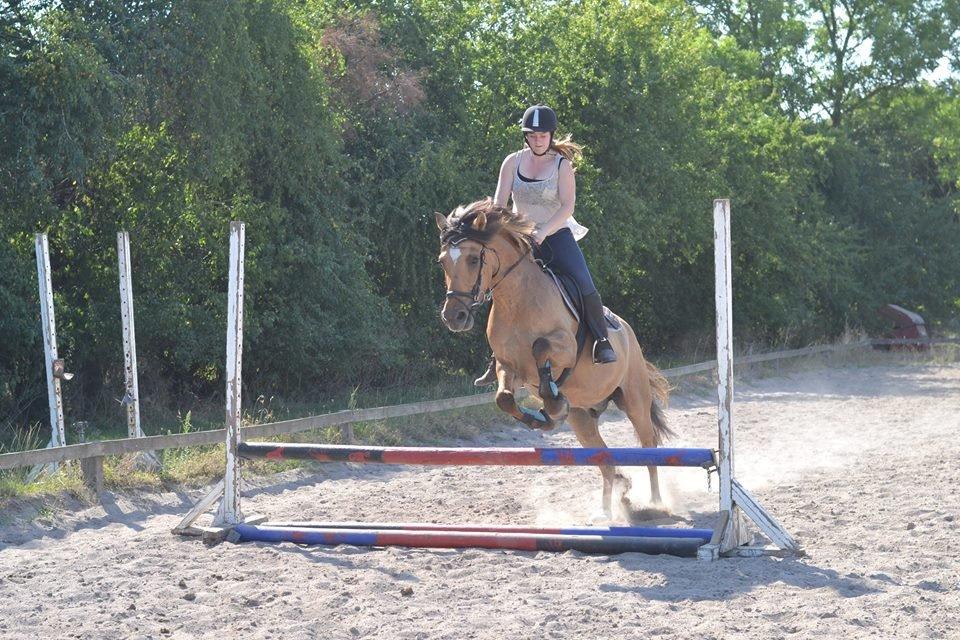 Anden særlig race Cosmos billede 16