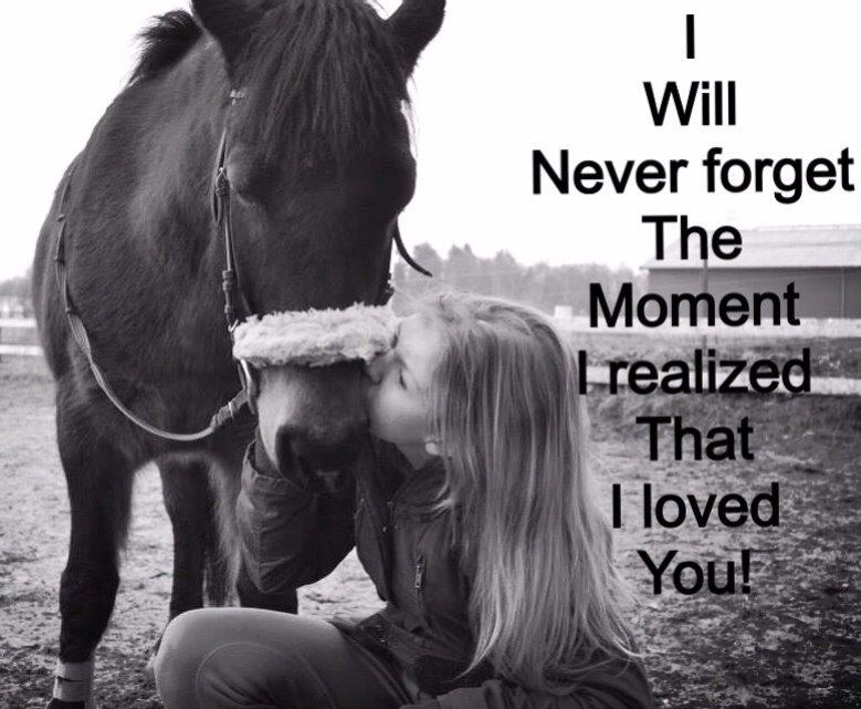 New Forest Mister twostar (tidl. Part) billede 10